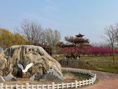 -南大港湿地风景区