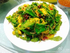 -陈家老院子(高新店)