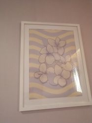 -SILKTONE诗丽堂美容