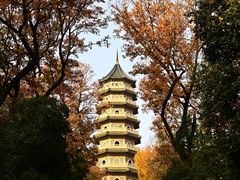 -灵谷景区