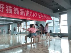 -Cat Dance小野猫舞蹈室