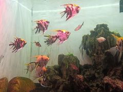 -多彩贵州城极地海洋世界