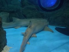 -常州海昌海洋探索馆