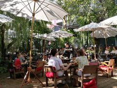 -Fern Forest Cafe