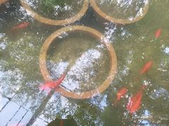 -燕郊植物园