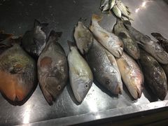 -拉威海鲜市场
