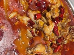 -美蛙四季(亦庄店)