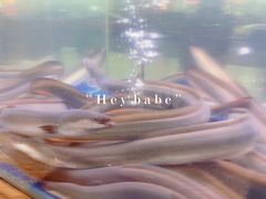 -本炙炭烤·蒲烧活鳗料理店(金沙洲店)