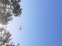 -春花秋色城市公园