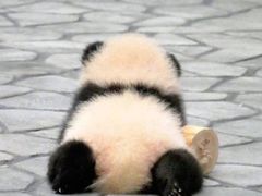 -海底捞火锅(海宁路店)