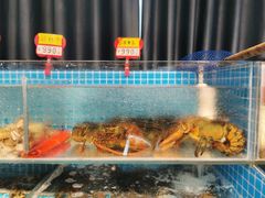 -韩记海鲜饺子旗舰店(红海新区店)