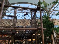 -杭州开元森泊度假乐园