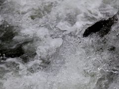 -白河湾生态旅游一条川