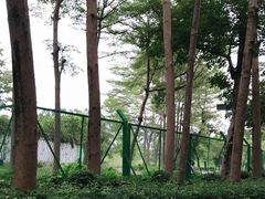 -东部华侨城