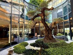 -东方美谷JW万豪酒店·The lounge大堂吧