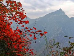 -秦岭风景区