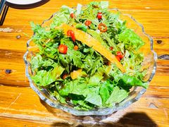 养生大拌菜-桑吉林新派藏餐·汤锅·川菜