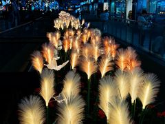 -深圳湾万象城(南山店)