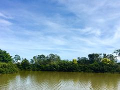 -大湾区中央湿地公园