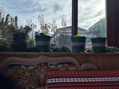 -四姑娘山阿巴郎·藏式花园餐厅