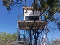 -福建鲤鱼洲酒店