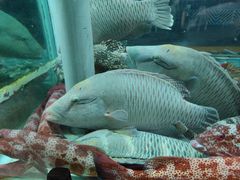 -全记海鲜菜馆(海傍街店)
