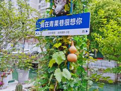 -青果巷历史文化街区