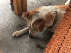 -兴福老面馆(寺路街店)