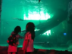 -华夏文旅海洋公园