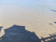 -厦门邮轮中心厦鼓码头(轮渡站)