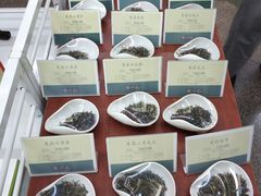 -张一元(前门店)