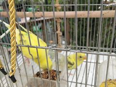 -葛子涧农家宴