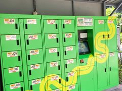 -圣淘沙天际线斜坡滑车