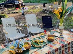 -海南热带野生动植物园