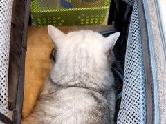 -联合动物医院(光谷诊疗中心)