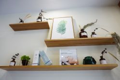 -悦芳庭美肤美体品牌集合店