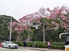 -风云岭森林公园