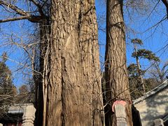 -潭柘寺景区