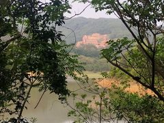 -东莞市大岭山森林公园