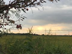 -我的中国梦证照摄影