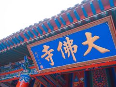 -张掖大佛寺景区