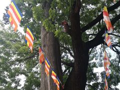 -少华山国家森林公园