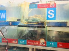 水产区-鱼酷活鱼烤鱼(沈阳大悦城店)