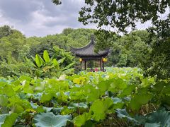 -丝绸小镇荻港古村