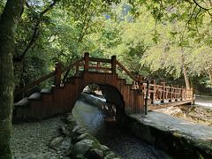 -陕西省红河谷森林公园