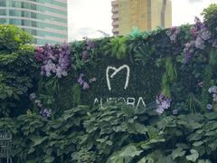 -极光口腔·矫正种植修复(锦江店)