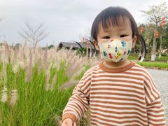 -映月湖公园