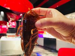 -西安W酒店·WEI全味西餐厅