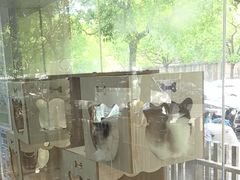 -暖阳宠物医院·犬猫康复中心·骨科