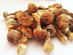 -滇釜火锅·能喝汤的火锅(车公庄店)